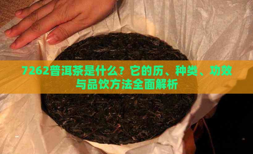 7262普洱茶是什么？它的历、种类、功效与品饮方法全面解析