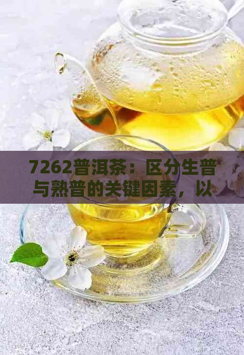 7262普洱茶：区分生普与熟普的关键因素，以及两者的品质和口感对比