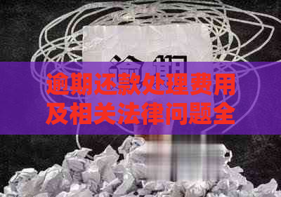 逾期还款处理费用及相关法律问题全面解析：您需要了解的一切！