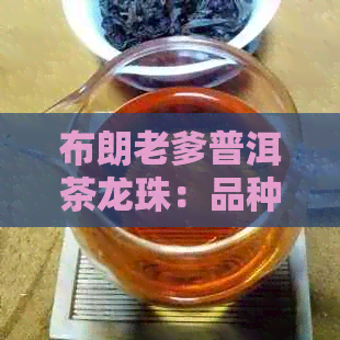 布朗老爹普洱茶龙珠：品种、口感、年份等全面解析与选购指南