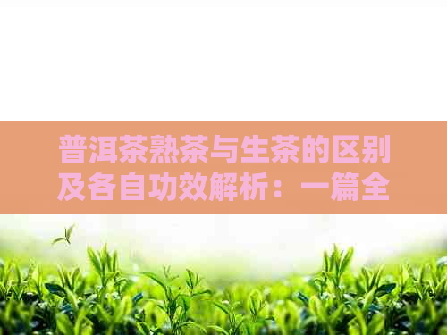 普洱茶熟茶与生茶的区别及各自功效解析：一篇全面解答普洱茶相关知识的文章