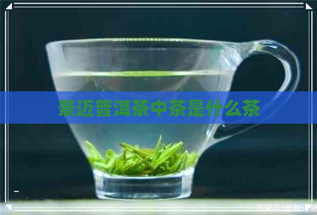 景迈普洱茶中茶是什么茶