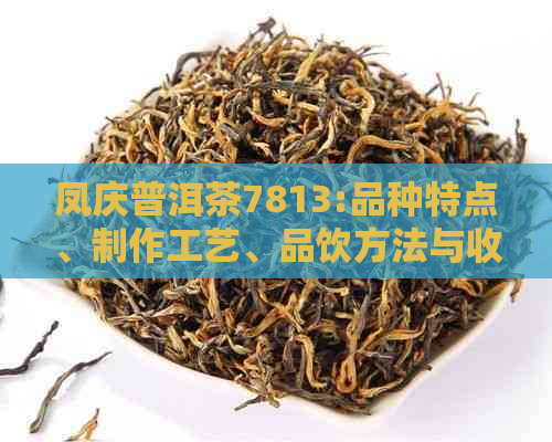 凤庆普洱茶7813:品种特点、制作工艺、品饮方法与收藏价值全方位解析