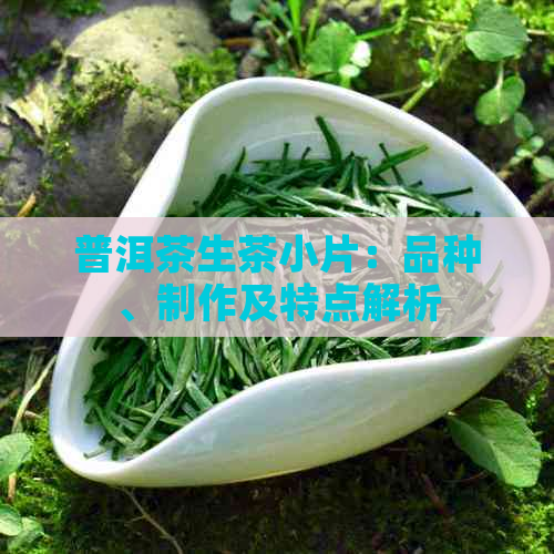 普洱茶生茶小片：品种、制作及特点解析