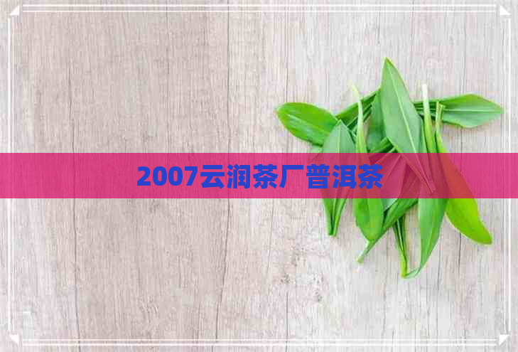 2007云润茶厂普洱茶