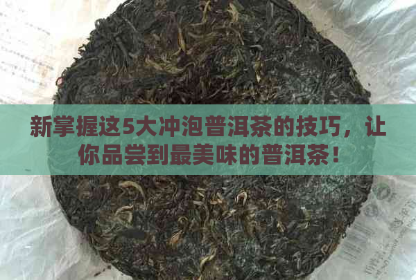 新掌握这5大冲泡普洱茶的技巧，让你品尝到最美味的普洱茶！