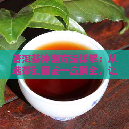 普洱茶冲泡方法详解：从选茶到品鉴一应俱全，让你轻松掌握普洱茶冲泡技巧