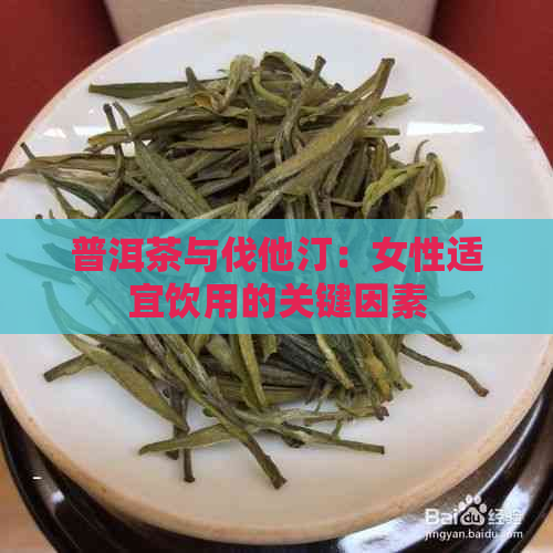 普洱茶与伐他汀：女性适宜饮用的关键因素