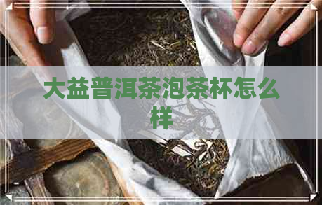 大益普洱茶泡茶杯怎么样