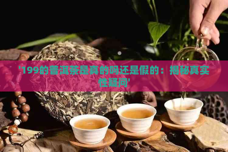 '199的普洱茶是真的吗还是假的：揭秘真实性疑问'