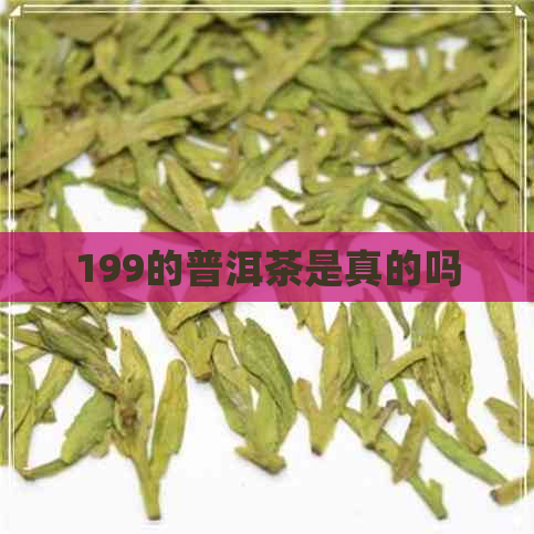 199的普洱茶是真的吗