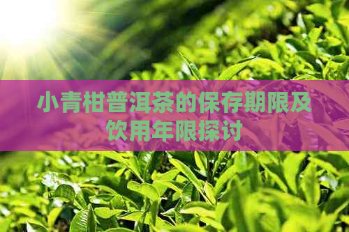 小青柑普洱茶的保存期限及饮用年限探讨