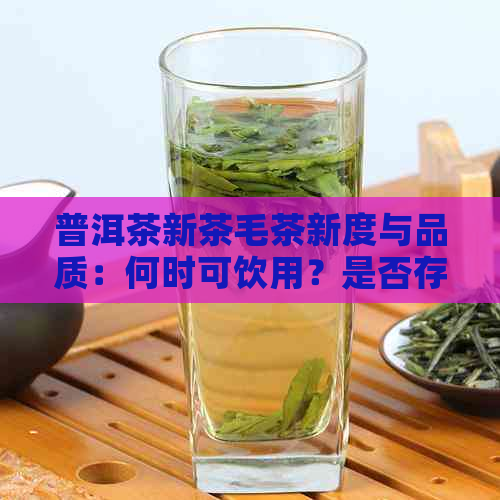 普洱茶新茶毛茶新度与品质：何时可饮用？是否存在安全风险？