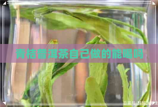 青桔普洱茶自己做的能喝吗