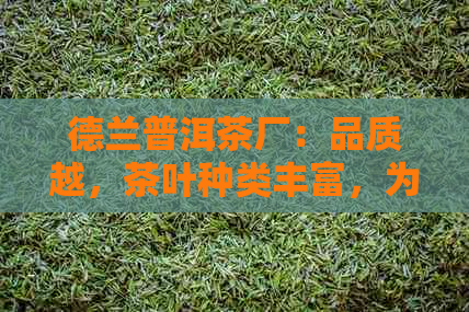 德兰普洱茶厂：品质越，茶叶种类丰富，为您提供一站式购茶体验