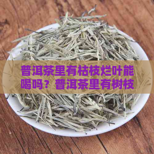 普洱茶里有枯枝烂叶能喝吗？普洱茶里有树枝正常吗？普洱茶叶霉了还能喝吗？