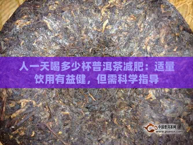 人一天喝多少杯普洱茶减肥：适量饮用有益健，但需科学指导