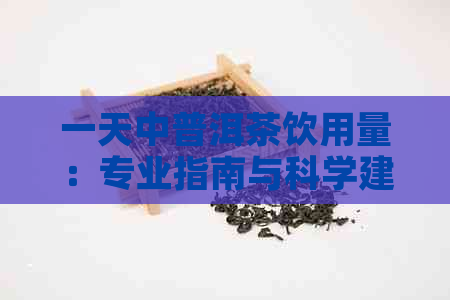 一天中普洱茶饮用量：专业指南与科学建议