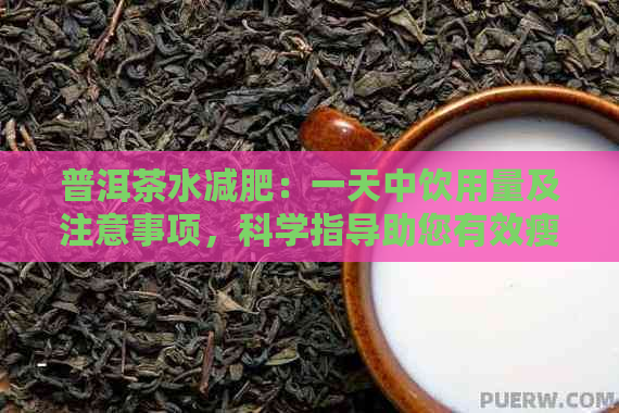 普洱茶水减肥：一天中饮用量及注意事项，科学指导助您有效瘦身