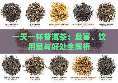 一天一杯普洱茶：危害、饮用量与好处全解析