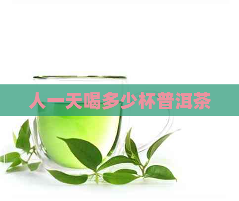 人一天喝多少杯普洱茶