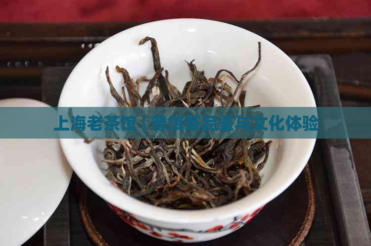 上海老茶馆 | 普洱茶品鉴与文化体验