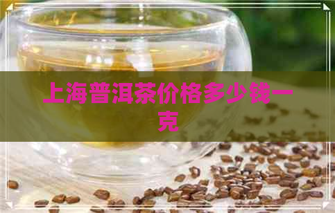 上海普洱茶价格多少钱一克