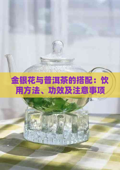 金银花与普洱茶的搭配：饮用方法、功效及注意事项，一次解答所有疑问