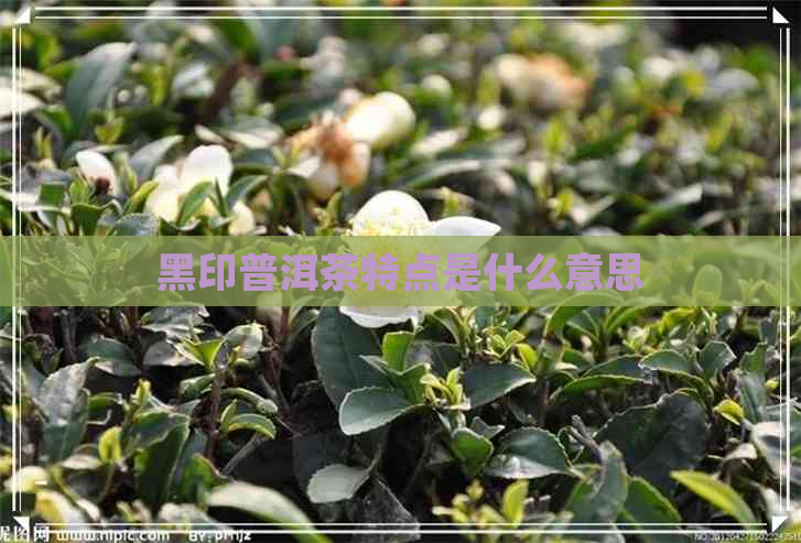 黑印普洱茶特点是什么意思