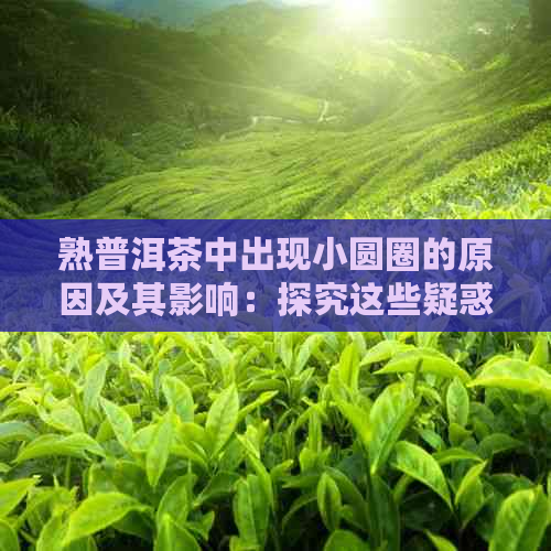 熟普洱茶中出现小圆圈的原因及其影响：探究这些疑惑