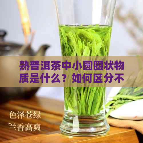 熟普洱茶中小圆圈状物质是什么？如何区分不同种类的茶叶？