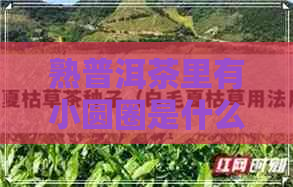 熟普洱茶里有小圆圈是什么