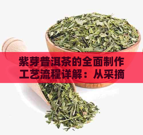 紫芽普洱茶的全面制作工艺流程详解：从采摘到品饮，了解每一个步骤！