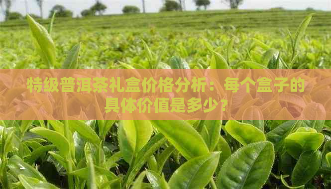 特级普洱茶礼盒价格分析：每个盒子的具体价值是多少？