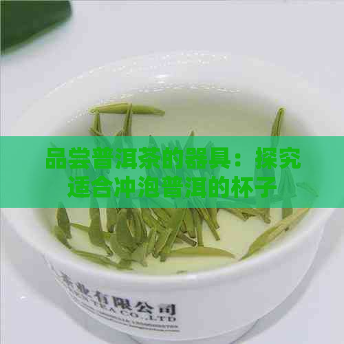 品尝普洱茶的器具：探究适合冲泡普洱的杯子