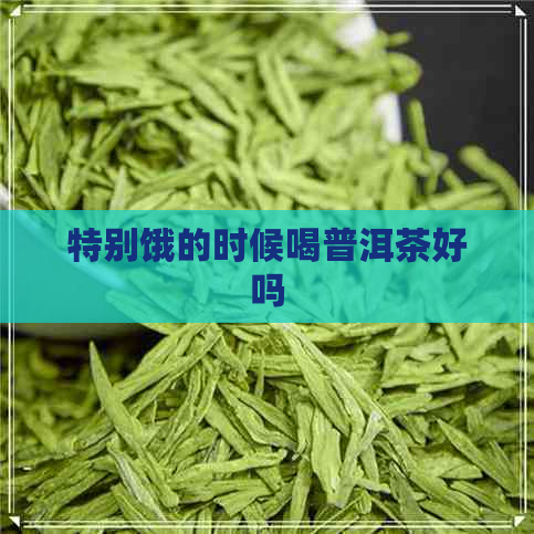 特别饿的时候喝普洱茶好吗