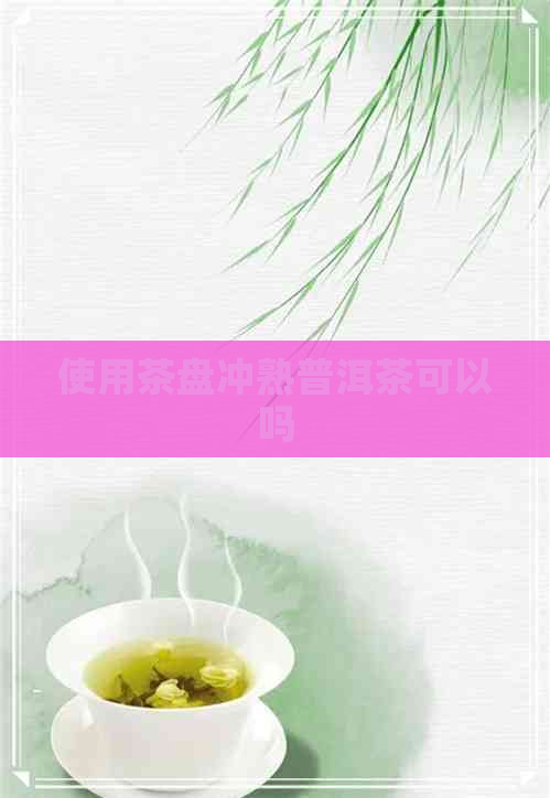 使用茶盘冲熟普洱茶可以吗