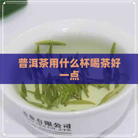 普洱茶用什么杯喝茶好一点