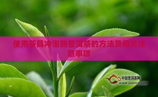 使用茶具冲泡熟普洱茶的方法及相关注意事项