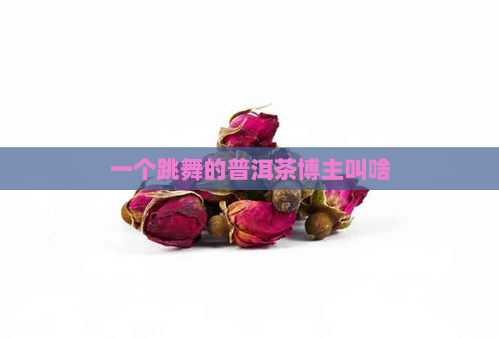 一个跳舞的普洱茶博主叫啥