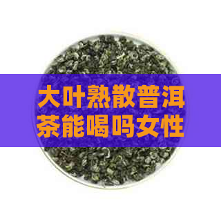 大叶熟散普洱茶能喝吗女性