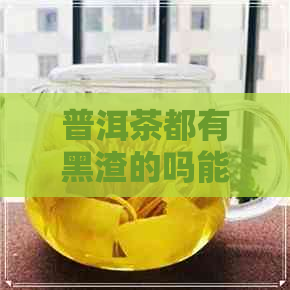 普洱茶都有黑渣的吗能喝吗