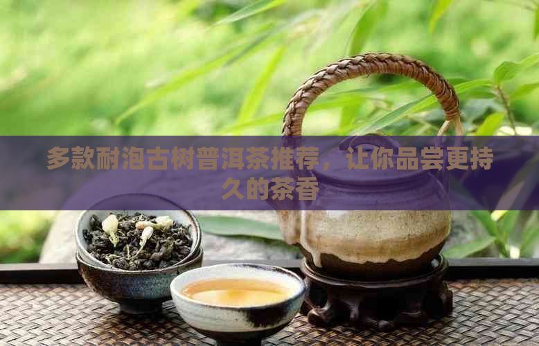 多款耐泡古树普洱茶推荐，让你品尝更持久的茶香