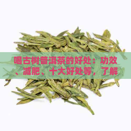 喝古树普洱茶的好处：功效、减肥、十大好处等，了解详细信息请点击！