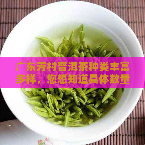 广东芳村普洱茶种类丰富多样，您想知道具体数量吗？