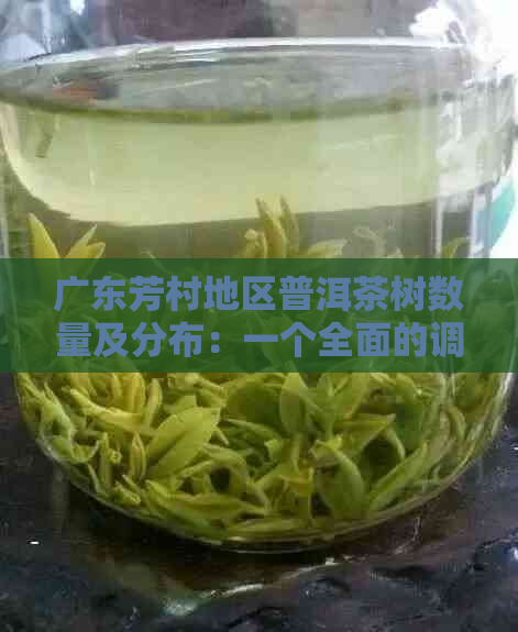 广东芳村地区普洱茶树数量及分布：一个全面的调查分析