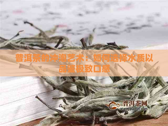 普洱茶的冲泡艺术：如何选择水质以品鉴极致口感