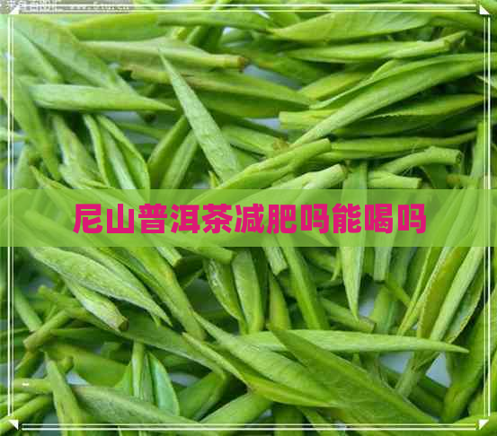 尼山普洱茶减肥吗能喝吗