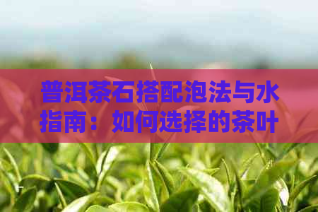 普洱茶石搭配泡法与水指南：如何选择的茶叶搭配和饮用方式