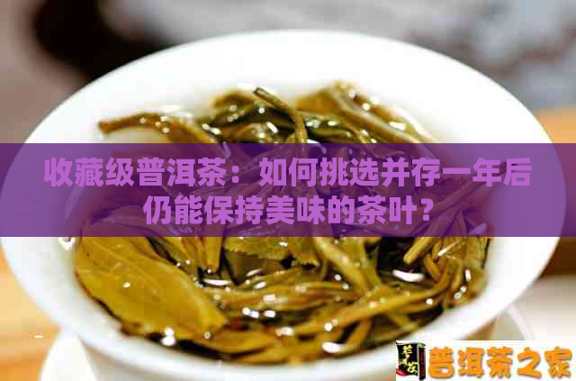 收藏级普洱茶：如何挑选并存一年后仍能保持美味的茶叶？